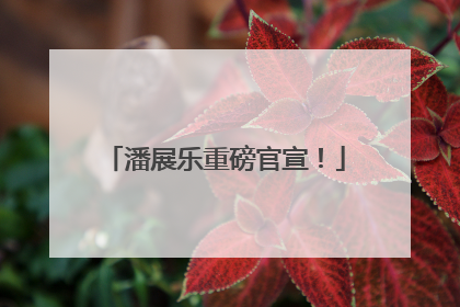 潘展乐重磅官宣！